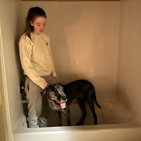 Meet your Posher, Espyn Lynn - Picture 2 of 3